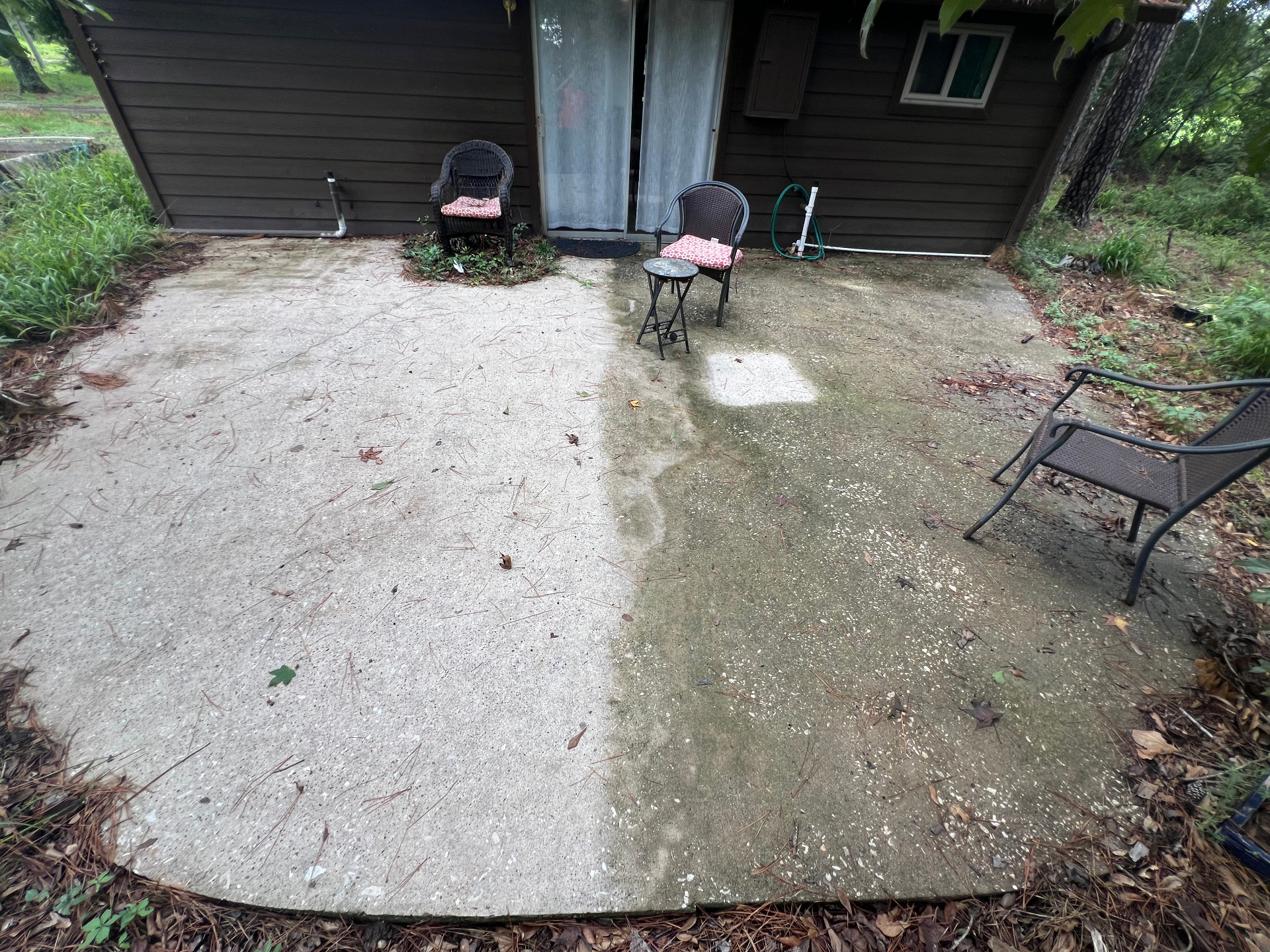 Patio at twelve months, sealed half still bright, unsealed half visibly green with biological growth