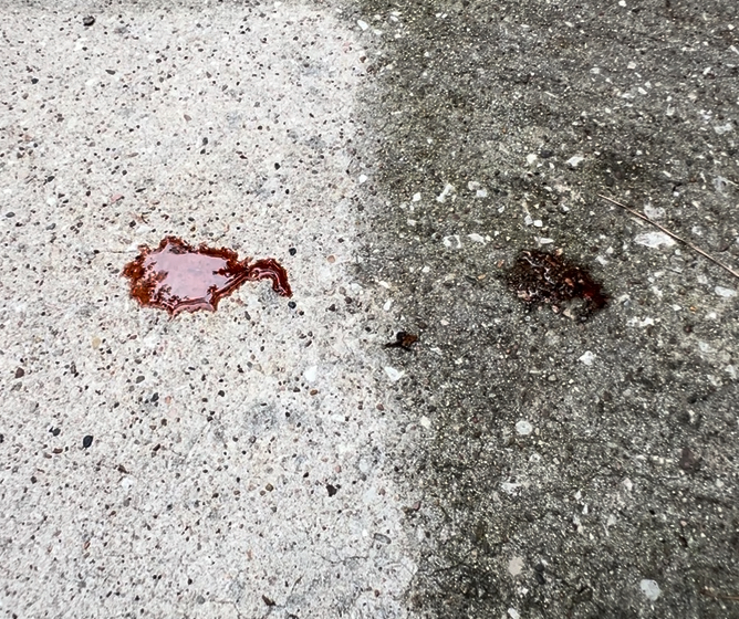 Red wine stain test on split concrete surface, beading on sealed side, soaking and staining on unsealed side